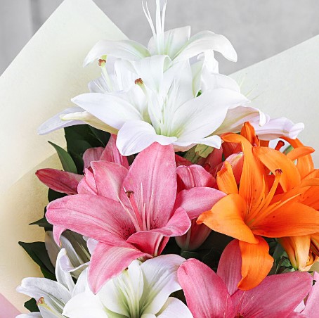 Attractive Mixed Asiatic Lilies Bunch