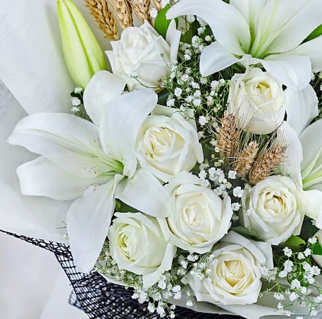 Graceful Whisper of White Blooms