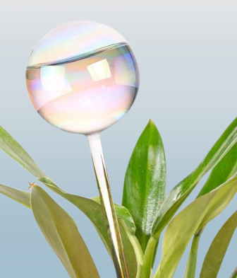 Plant Watering Globe