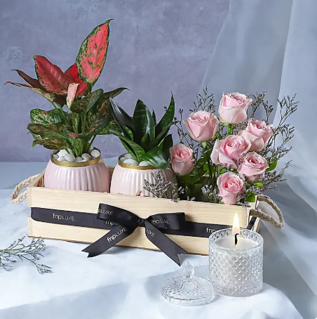 Leafy Luxuries